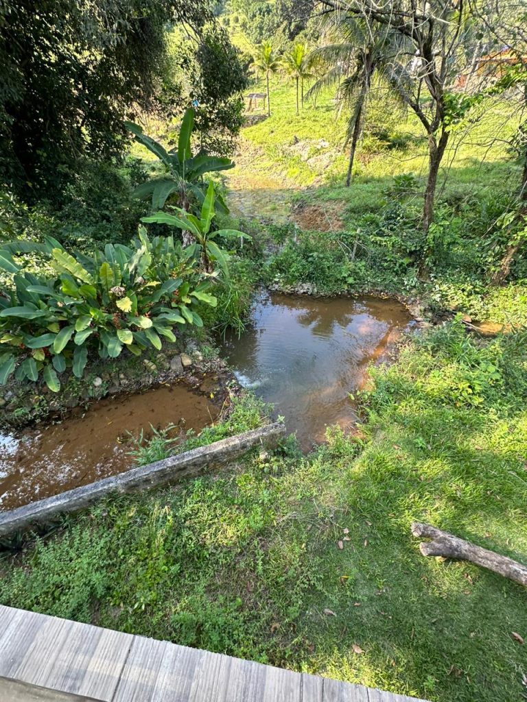Chácara a venda – Rica em Água com 02 Casas – São João de Jaboti Chácara a venda – Rica em Água com 02 Casas – São João de Jaboti