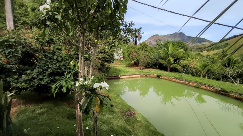 Magnífico sítio de 25.000 m². Localizado em Reta Grande, Guarapari/ES – Com Escritura e RGI. Magnífico sítio de 25.000 m². Localizado em Reta Grande, Guarapari/ES – Com Escritura e RGI.