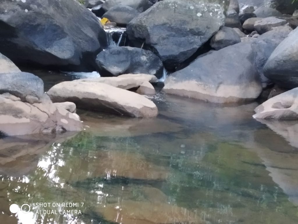Sítio com rio e a minutos da cidade Sítio com rio e a minutos da cidade