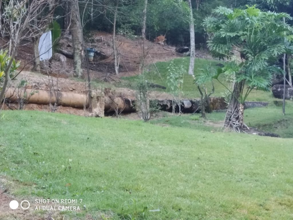 Sítio com rio e a minutos da cidade Sítio com rio e a minutos da cidade
