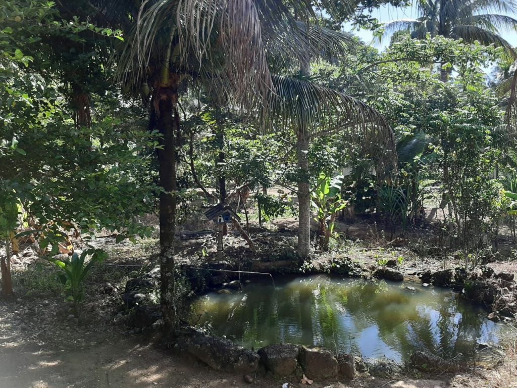 Oportunidade chácara pronta com água para sua família . Oportunidade chácara pronta com água para sua família .