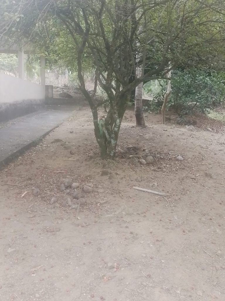 Oportunidade chácara pronta com água para sua família . Oportunidade chácara pronta com água para sua família .