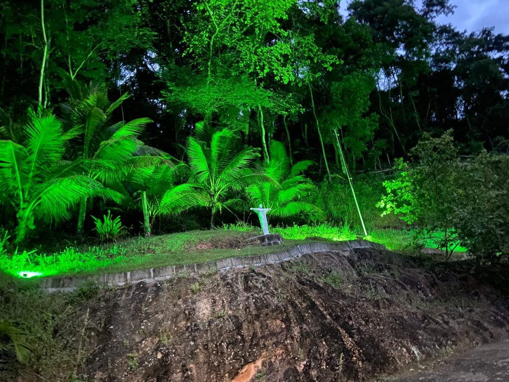 Linda chácara para seu lazer e rendimentos Linda chácara para seu lazer e rendimentos