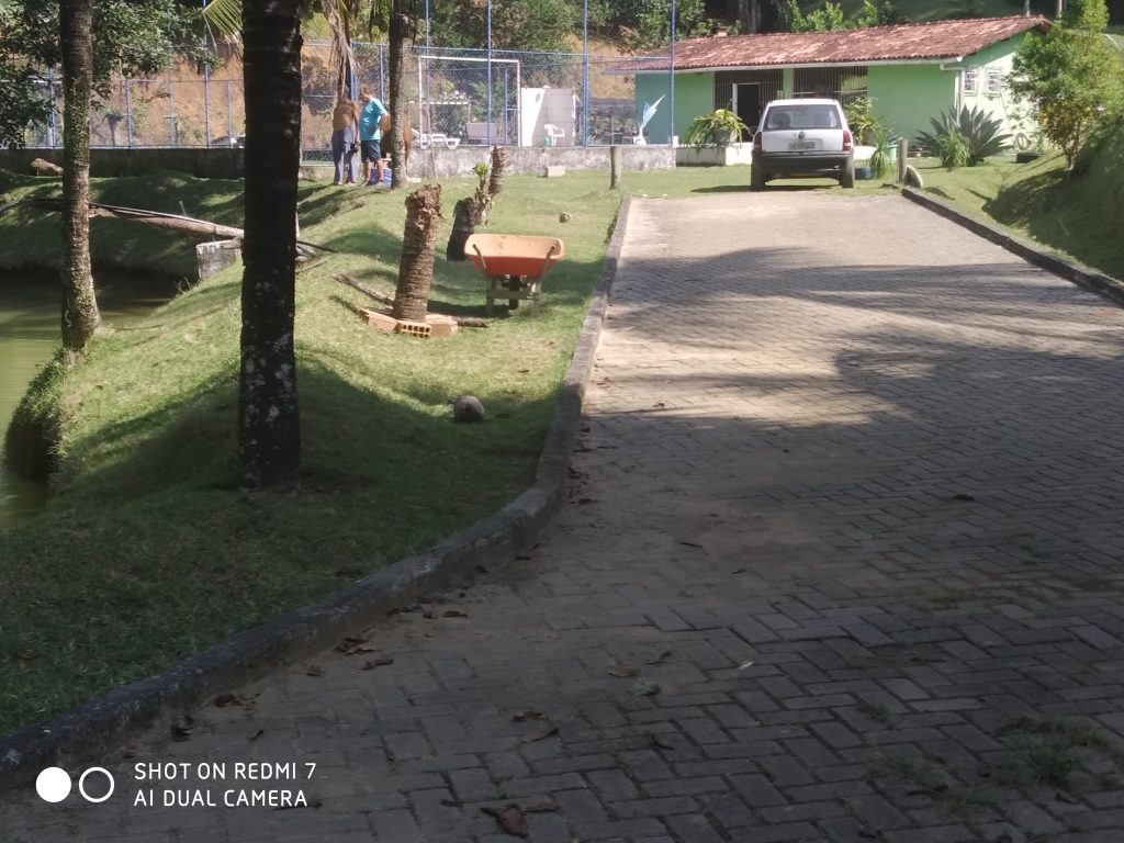 Maravilhoso sítio a minutos da cidade de Guarapari Maravilhoso sítio a minutos da cidade de Guarapari