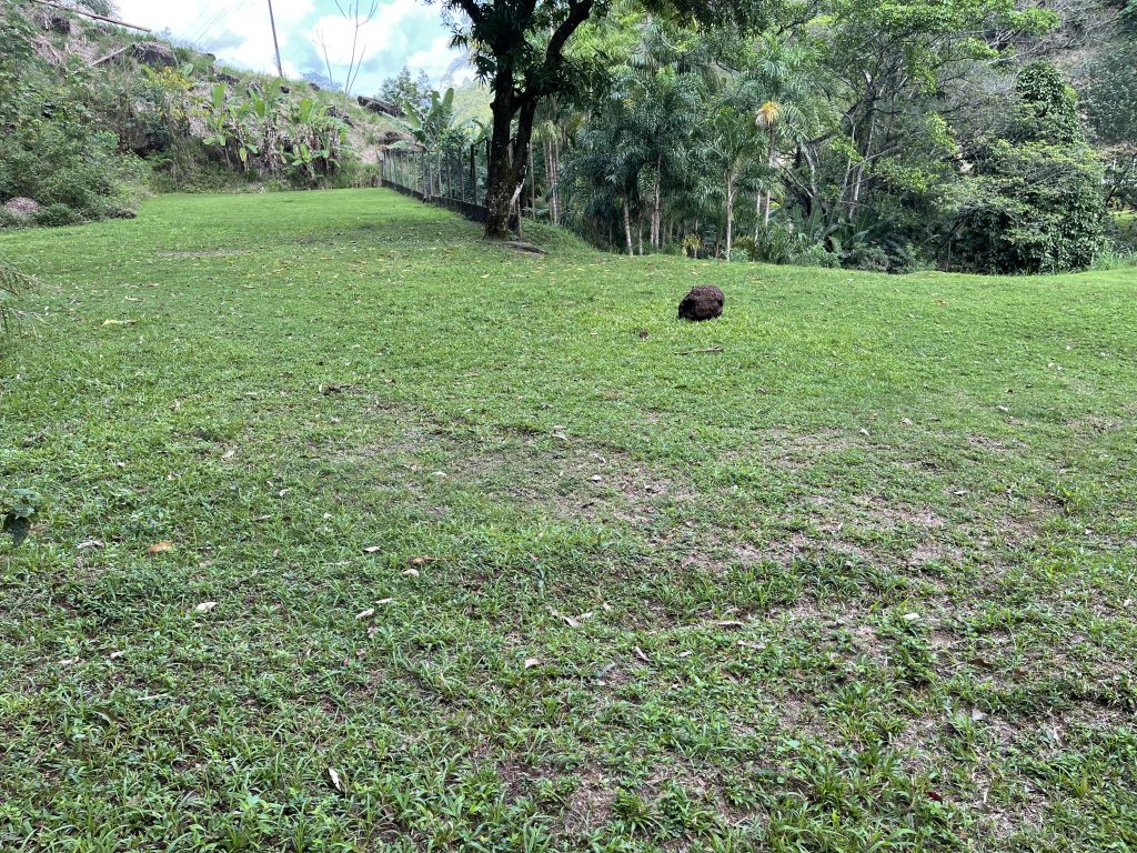 Área com 13 mil metros quadrados na área rural Área com 13 mil metros quadrados na área rural