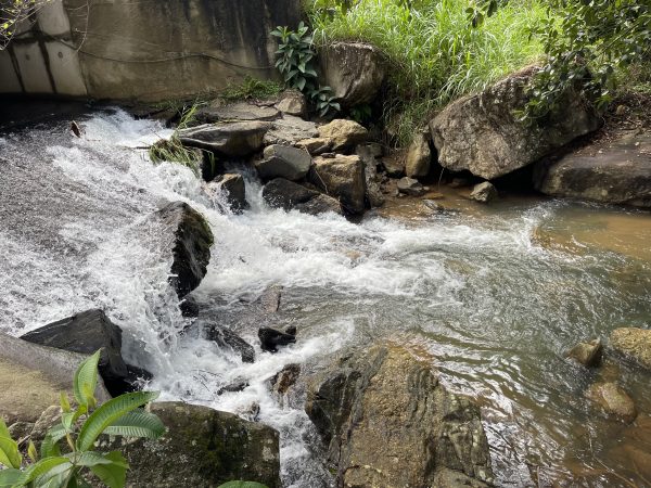 Área com 13 mil metros quadrados na área rural