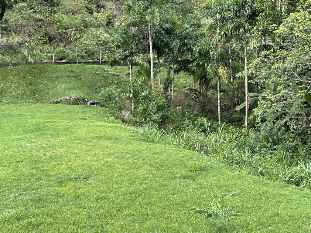 Área com 13 mil metros quadrados na área rural Área com 13 mil metros quadrados na área rural
