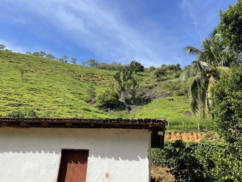 Lindo sítio com muito pasto e uma bela casa Lindo sítio com muito pasto e uma bela casa