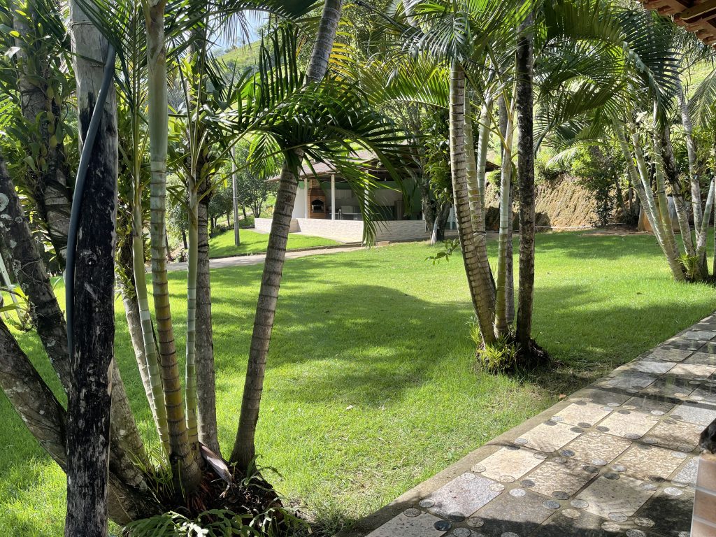 Lindo sítio com muito pasto e uma bela casa Lindo sítio com muito pasto e uma bela casa