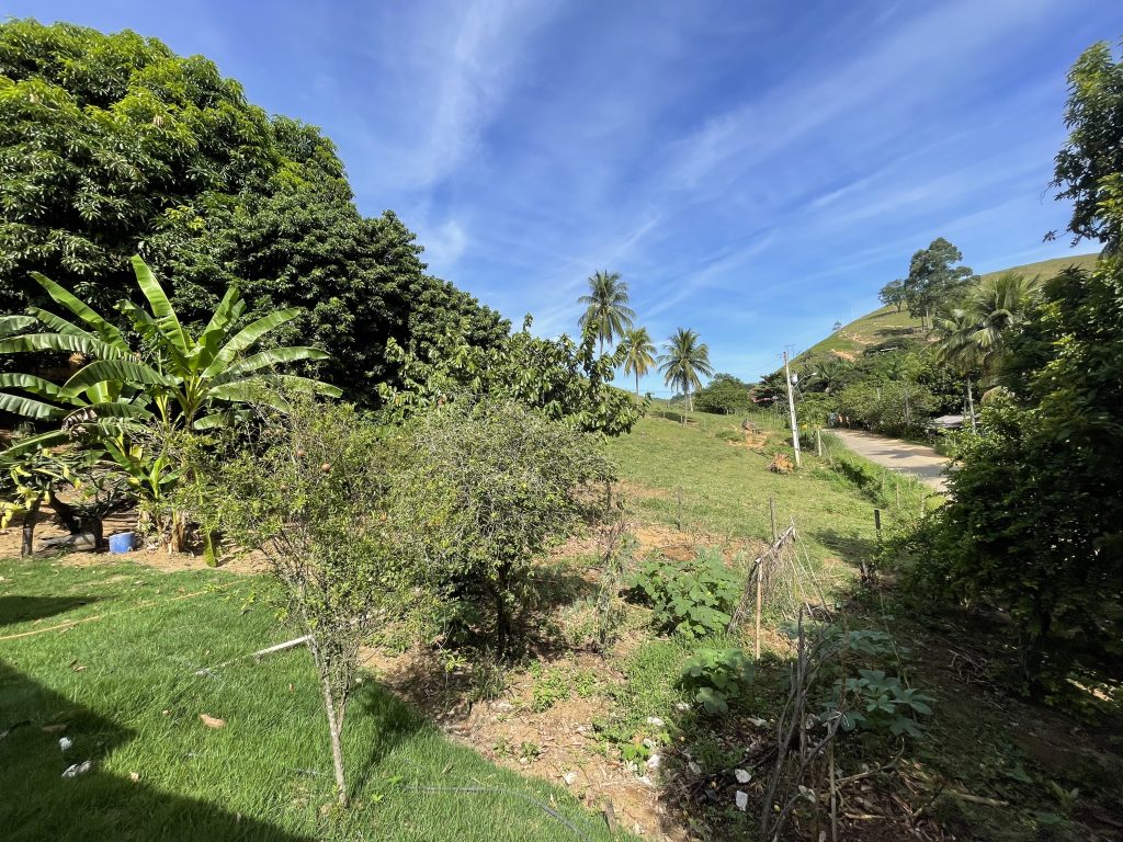 Lindo sítio com muito pasto e uma bela casa Lindo sítio com muito pasto e uma bela casa