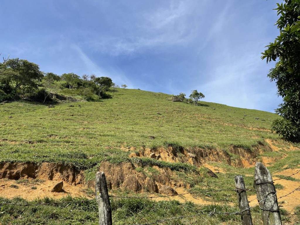 Lindo sítio com muito pasto e uma bela casa Lindo sítio com muito pasto e uma bela casa