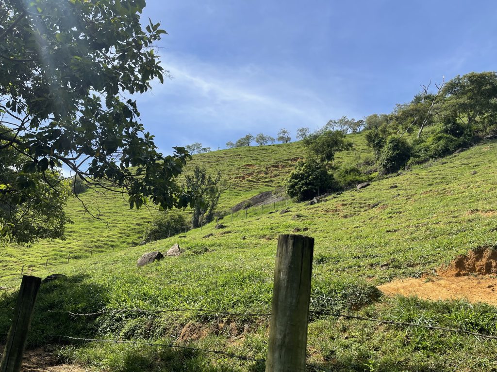 Lindo sítio com muito pasto e uma bela casa Lindo sítio com muito pasto e uma bela casa