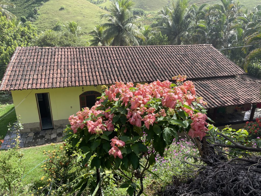 Lindo sítio com muito pasto e uma bela casa Lindo sítio com muito pasto e uma bela casa