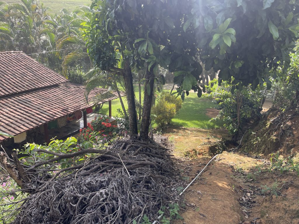 Lindo sítio com muito pasto e uma bela casa Lindo sítio com muito pasto e uma bela casa