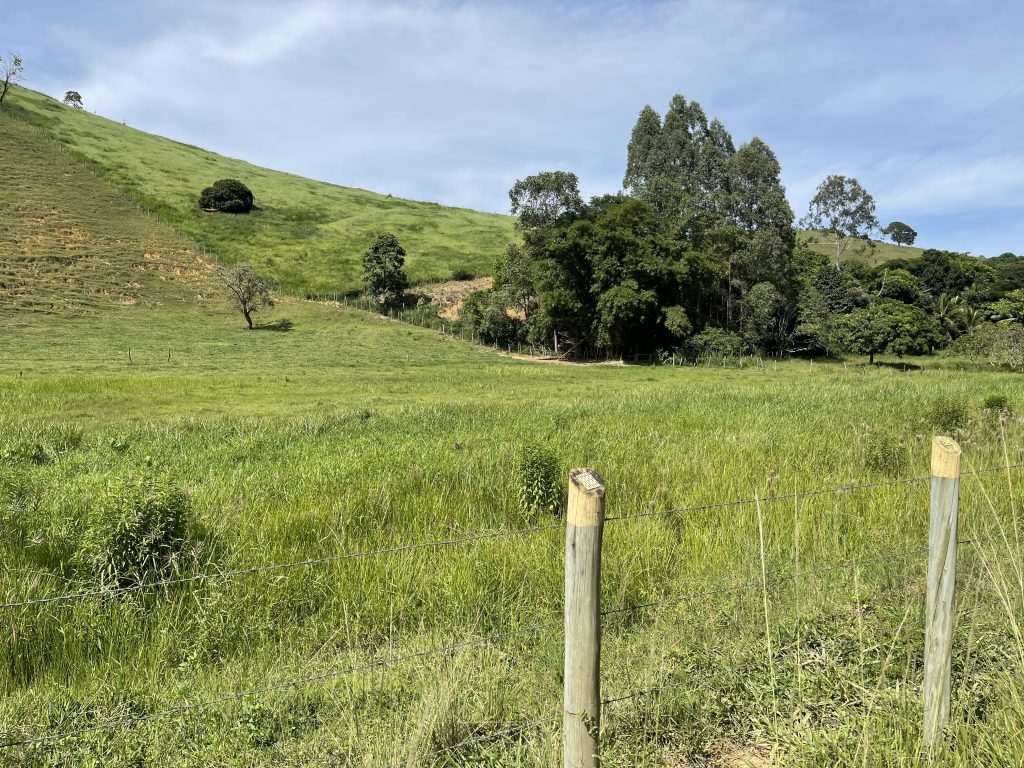 Lindo sítio com muito pasto e uma bela casa Lindo sítio com muito pasto e uma bela casa