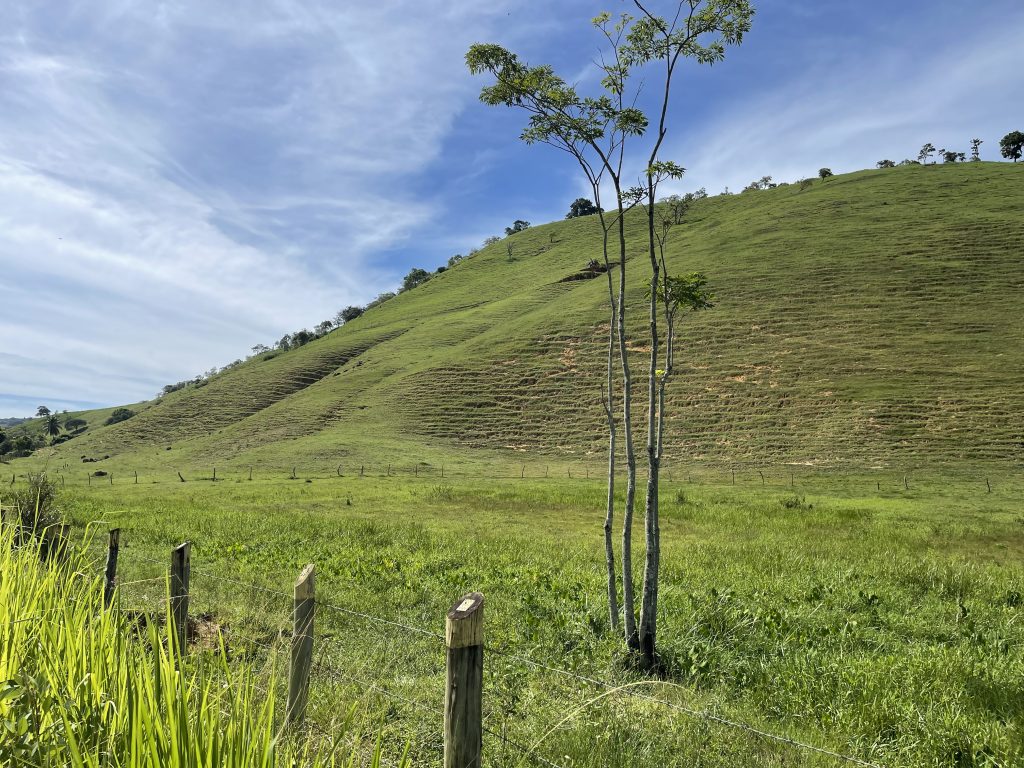 Lindo sítio com muito pasto e uma bela casa Lindo sítio com muito pasto e uma bela casa