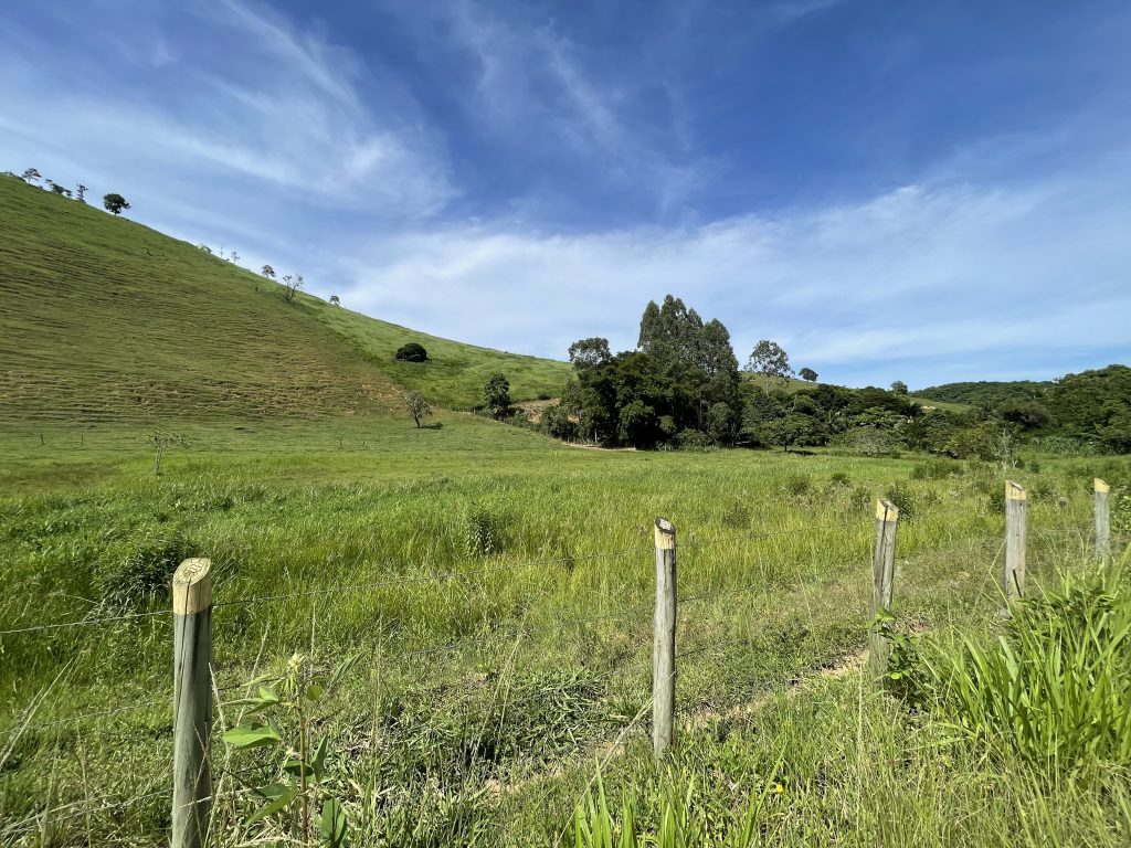 Lindo sítio com muito pasto e uma bela casa Lindo sítio com muito pasto e uma bela casa
