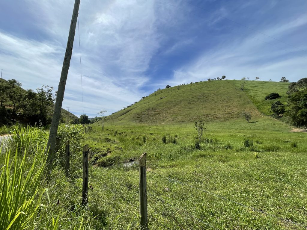 Lindo sítio com muito pasto e uma bela casa Lindo sítio com muito pasto e uma bela casa
