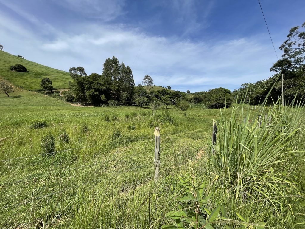 Lindo sítio com muito pasto e uma bela casa Lindo sítio com muito pasto e uma bela casa