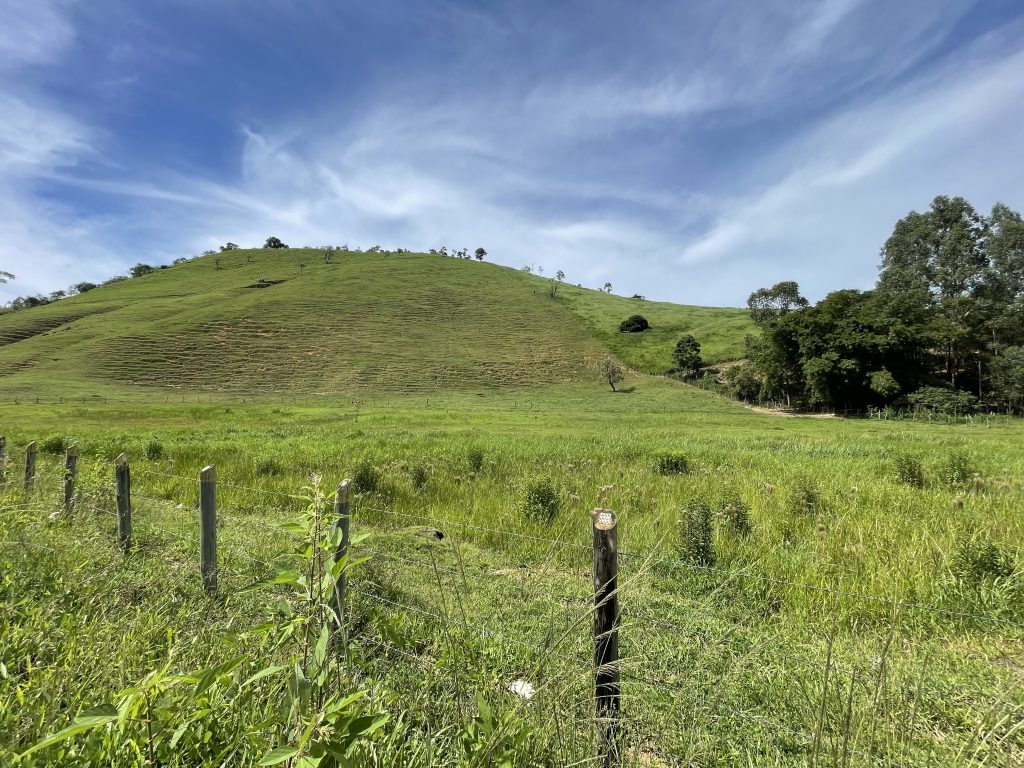 Lindo sítio com muito pasto e uma bela casa Lindo sítio com muito pasto e uma bela casa