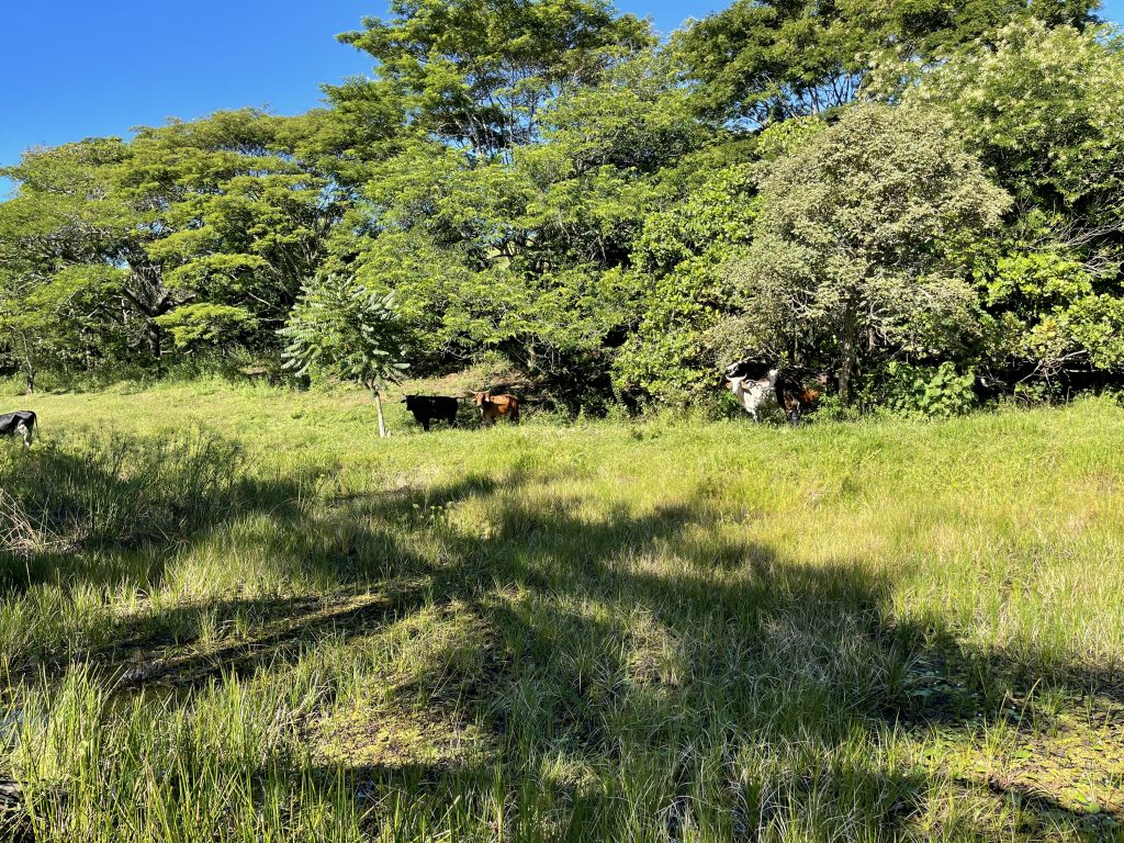 Luxuoso Sítio com Área de Lazer Completa