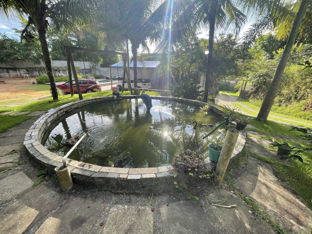 Linda chácara em anchieta e a minutos de Guarapari Linda chácara em anchieta e a minutos de Guarapari