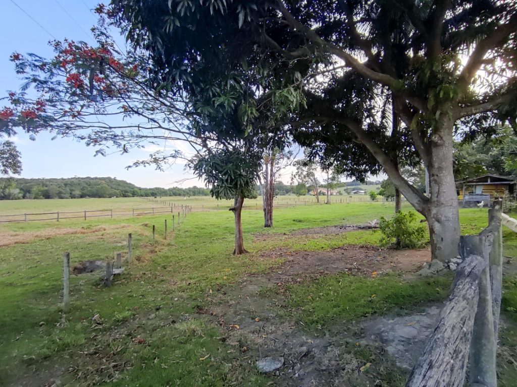 Momento de adquirir sua chácara próximo a cidade Momento de adquirir sua chácara próximo a cidade