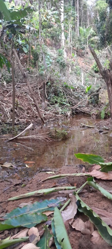 Oportunidade de sitio com 60 mil m2 Oportunidade de sitio com 60 mil m2