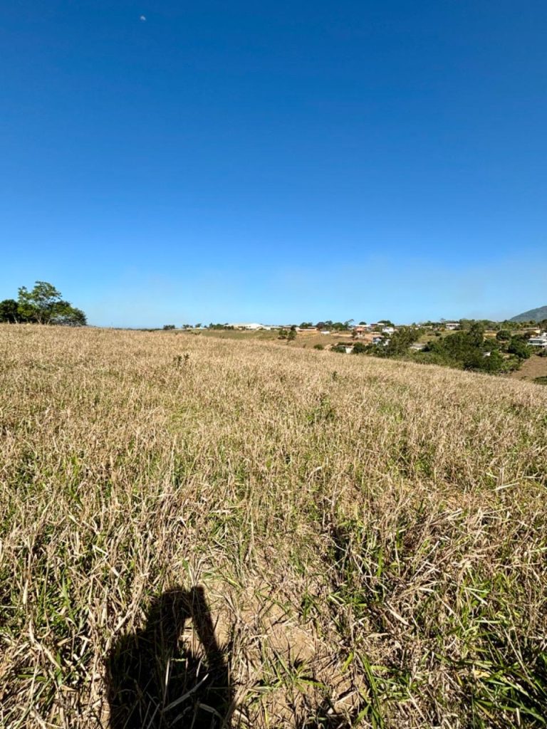 Linda área com topografia plana, próximo ao asfalto Linda área com topografia plana, próximo ao asfalto