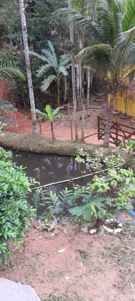 Oportunidade de sitio com 60 mil m2 Oportunidade de sitio com 60 mil m2