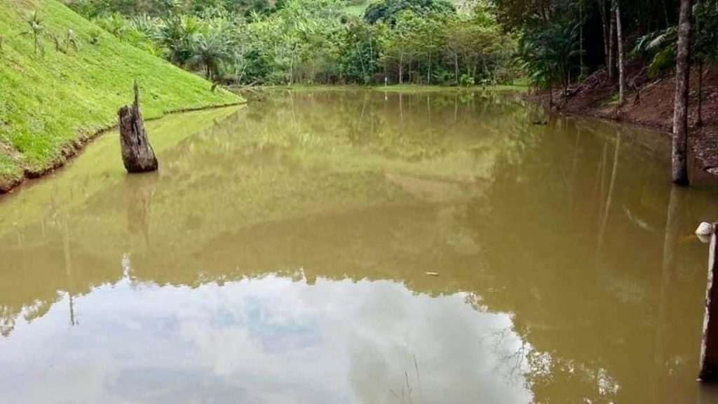 Encantadora chácara em domingos Martins escriturada Encantadora chácara em domingos Martins escriturada