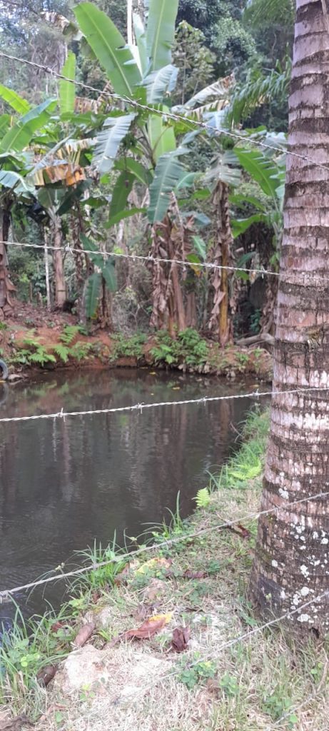 Oportunidade de sitio com 60 mil m2 Oportunidade de sitio com 60 mil m2