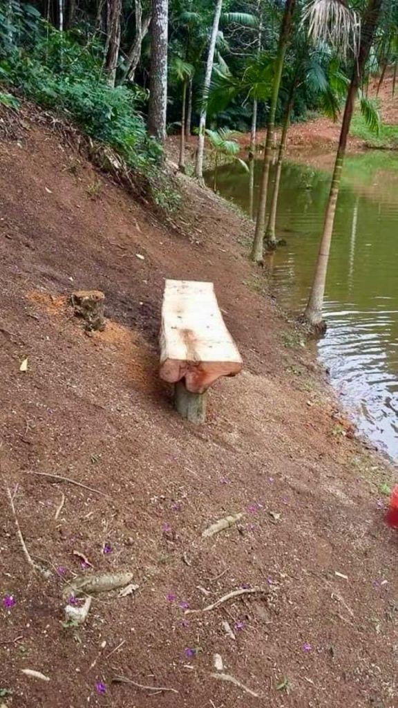 Encantadora chácara em domingos Martins escriturada Encantadora chácara em domingos Martins escriturada