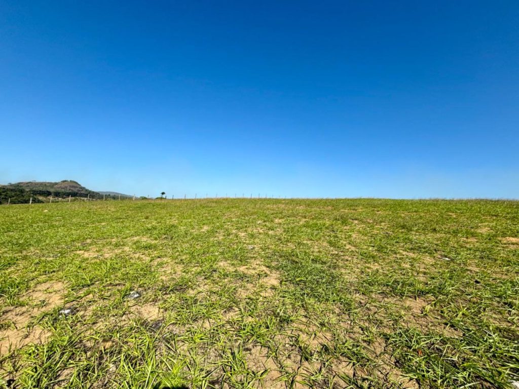 Área com topografia plana próximo asfalto Área com topografia plana próximo asfalto