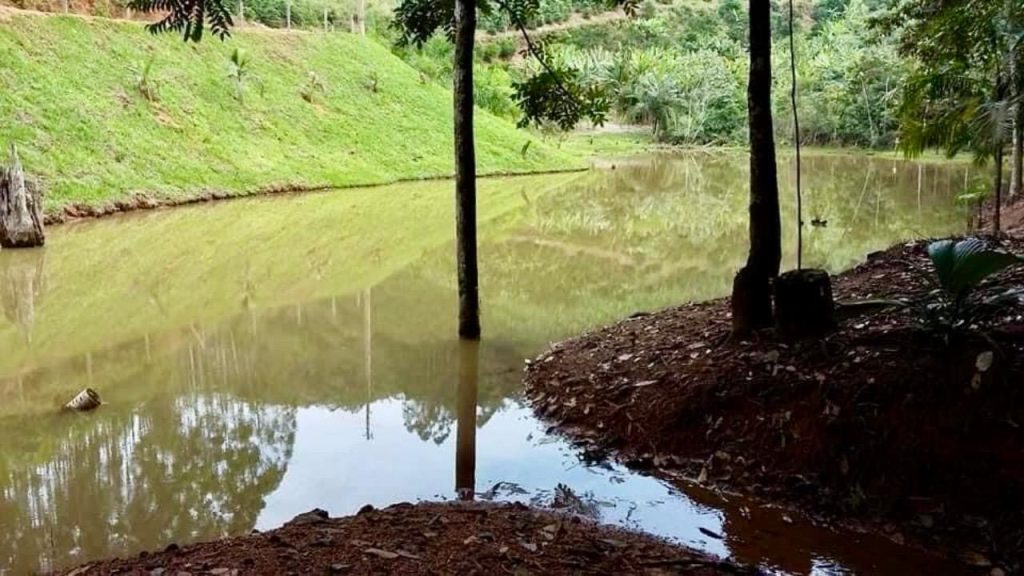 Encantadora chácara em domingos Martins escriturada Encantadora chácara em domingos Martins escriturada