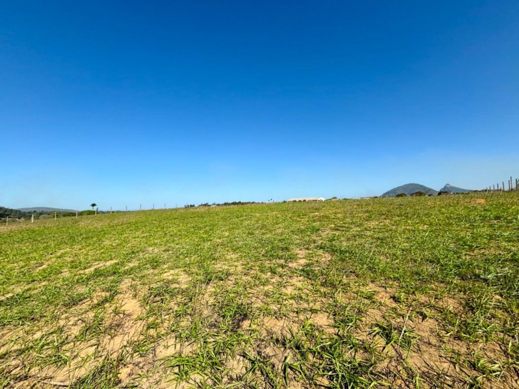 Área com topografia plana próximo asfalto Área com topografia plana próximo asfalto