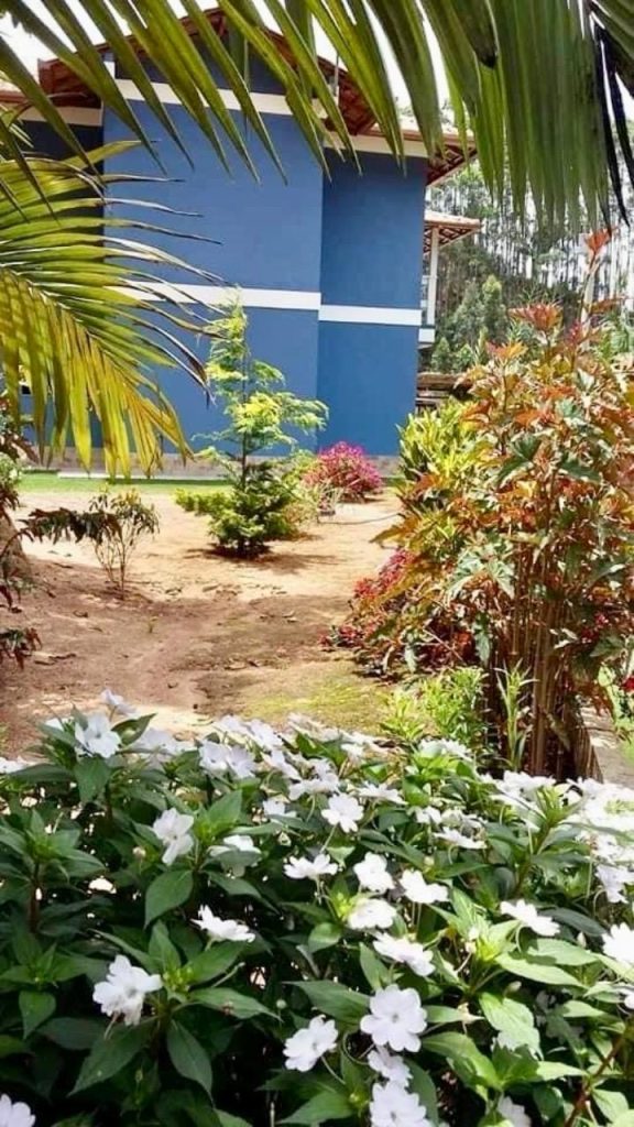 Encantadora chácara em domingos Martins escriturada Encantadora chácara em domingos Martins escriturada