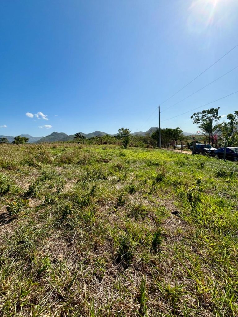 Linda área com topografia plana, próximo ao asfalto Linda área com topografia plana, próximo ao asfalto