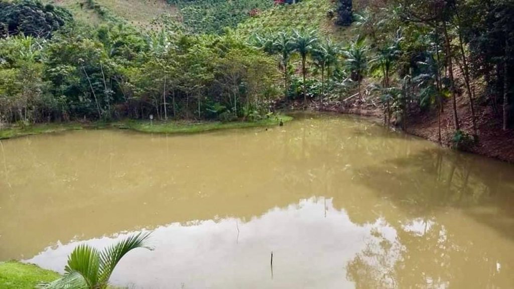Encantadora chácara em domingos Martins escriturada Encantadora chácara em domingos Martins escriturada