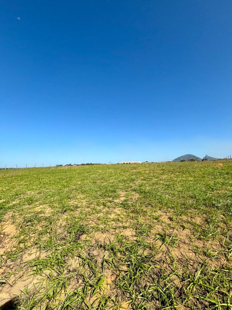 Área com topografia plana próximo asfalto Área com topografia plana próximo asfalto