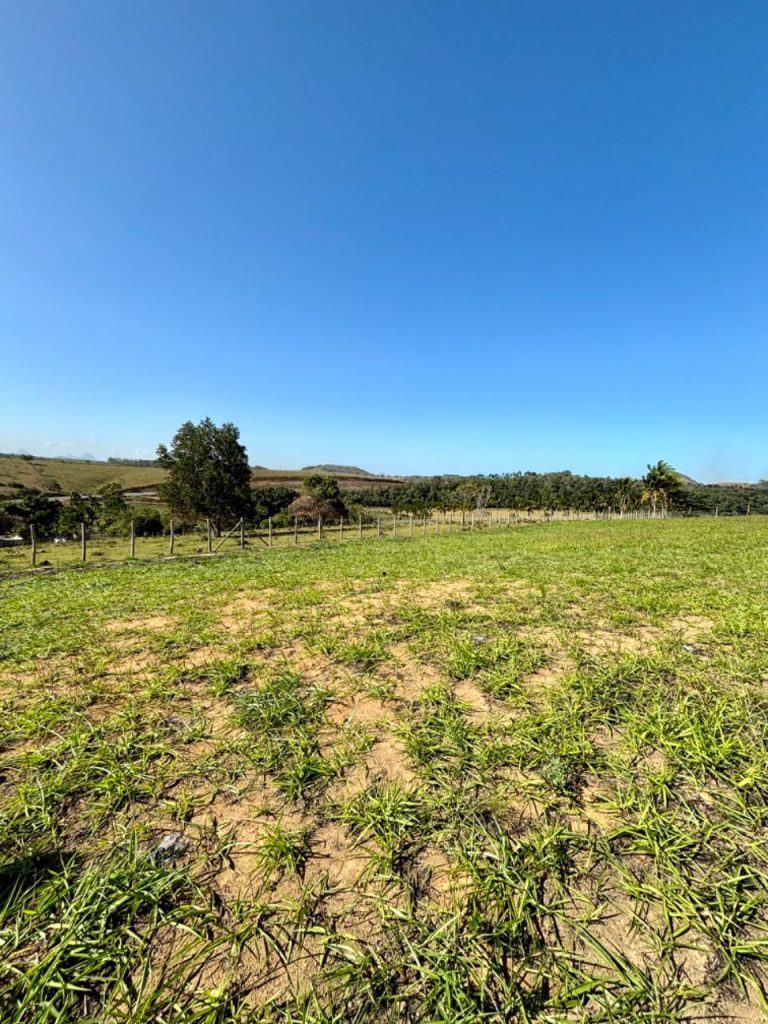Área com topografia plana próximo asfalto Área com topografia plana próximo asfalto