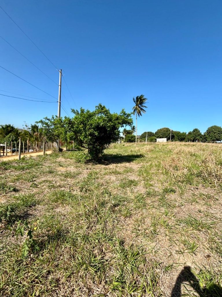 Linda área com topografia plana, próximo ao asfalto Linda área com topografia plana, próximo ao asfalto