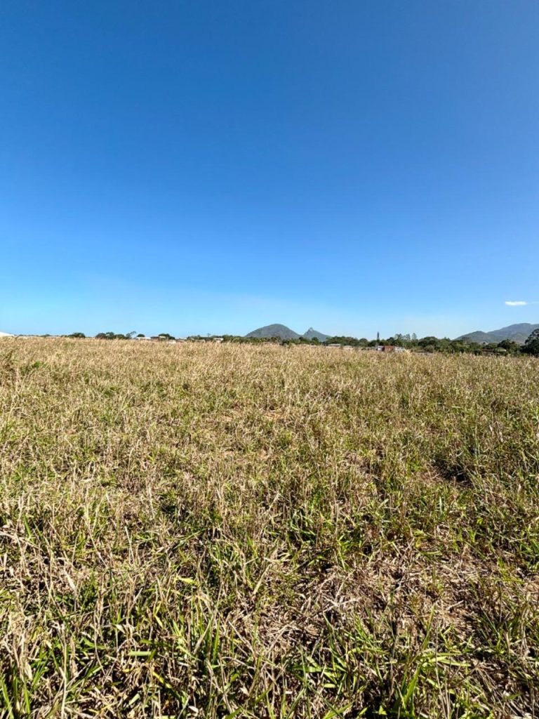 Linda área com topografia plana, próximo ao asfalto Linda área com topografia plana, próximo ao asfalto