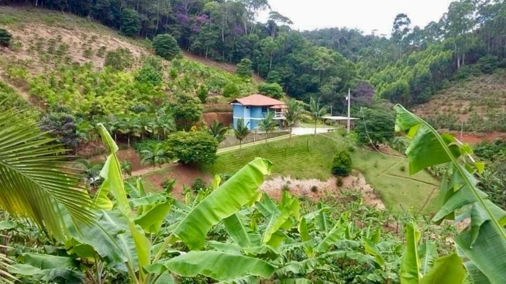Encantadora chácara em domingos Martins escriturada Encantadora chácara em domingos Martins escriturada