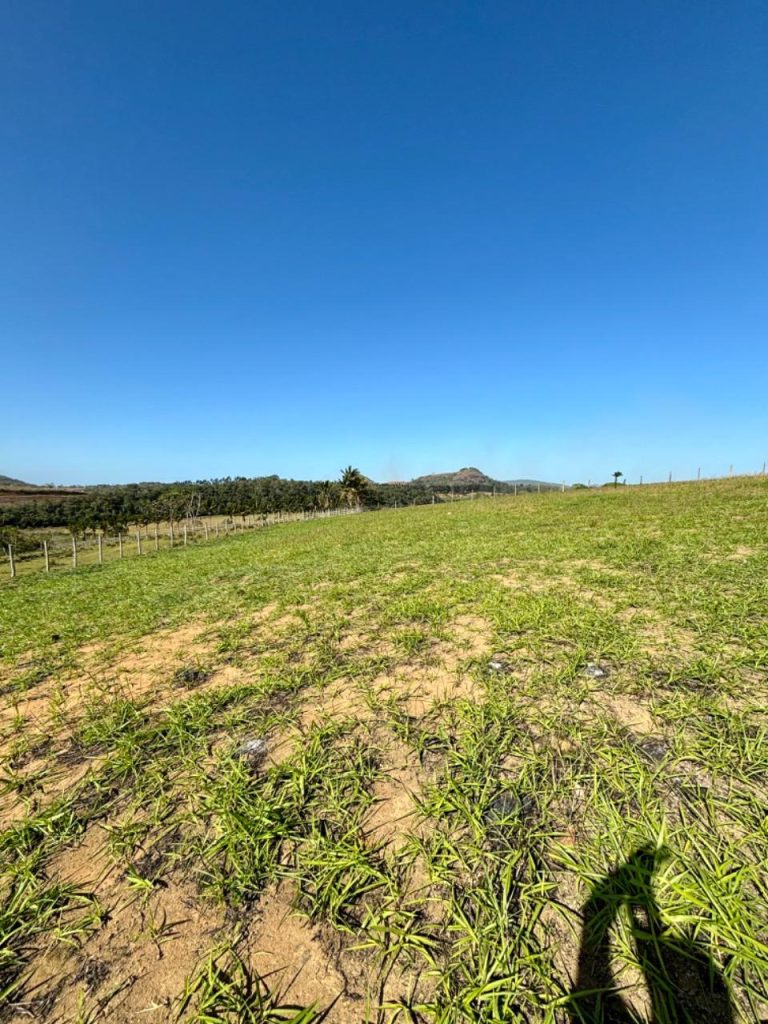 Área com topografia plana próximo asfalto Área com topografia plana próximo asfalto