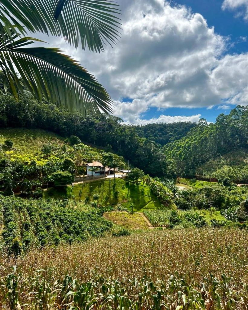 Encantadora chácara em domingos Martins escriturada Encantadora chácara em domingos Martins escriturada