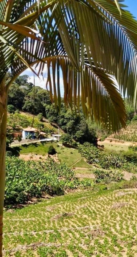Encantadora chácara em domingos Martins escriturada Encantadora chácara em domingos Martins escriturada