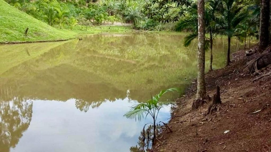 Encantadora chácara em domingos Martins escriturada Encantadora chácara em domingos Martins escriturada