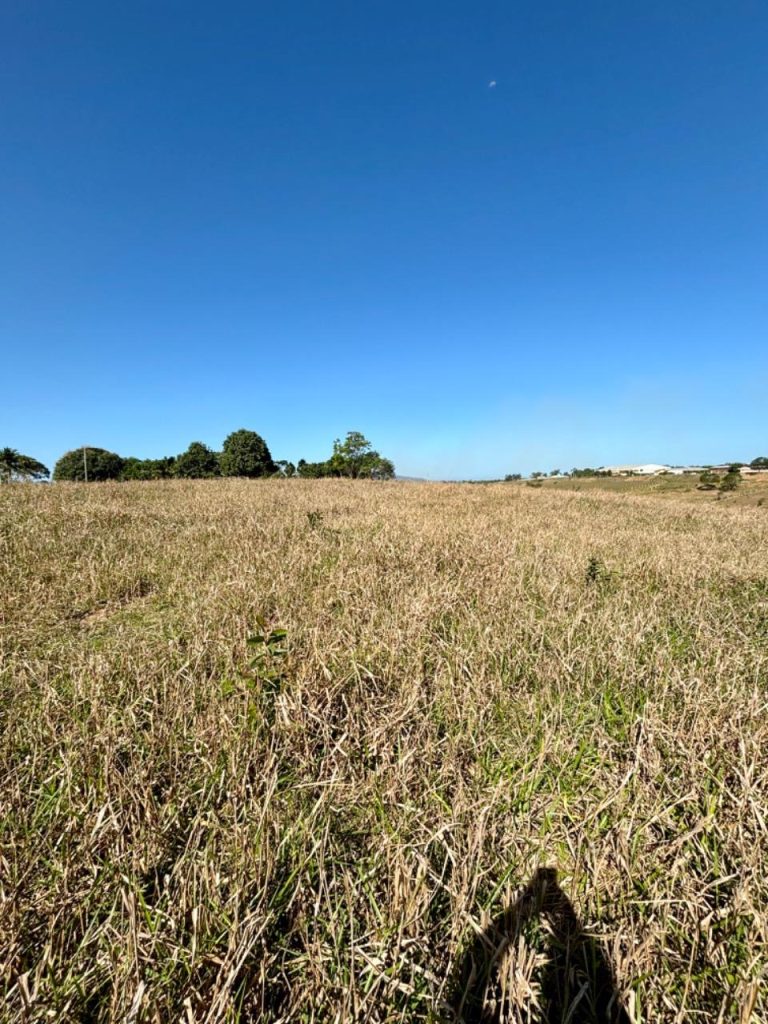 Linda área com topografia plana, próximo ao asfalto Linda área com topografia plana, próximo ao asfalto