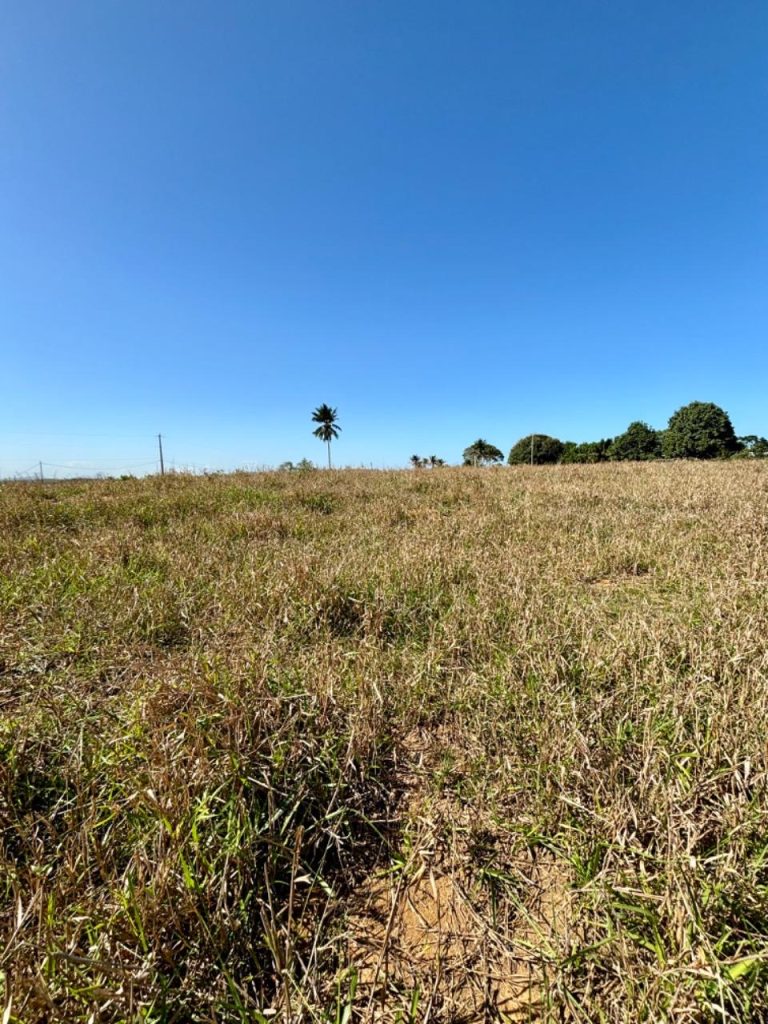 Linda área com topografia plana, próximo ao asfalto Linda área com topografia plana, próximo ao asfalto